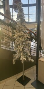 20251206_153556865_iOS